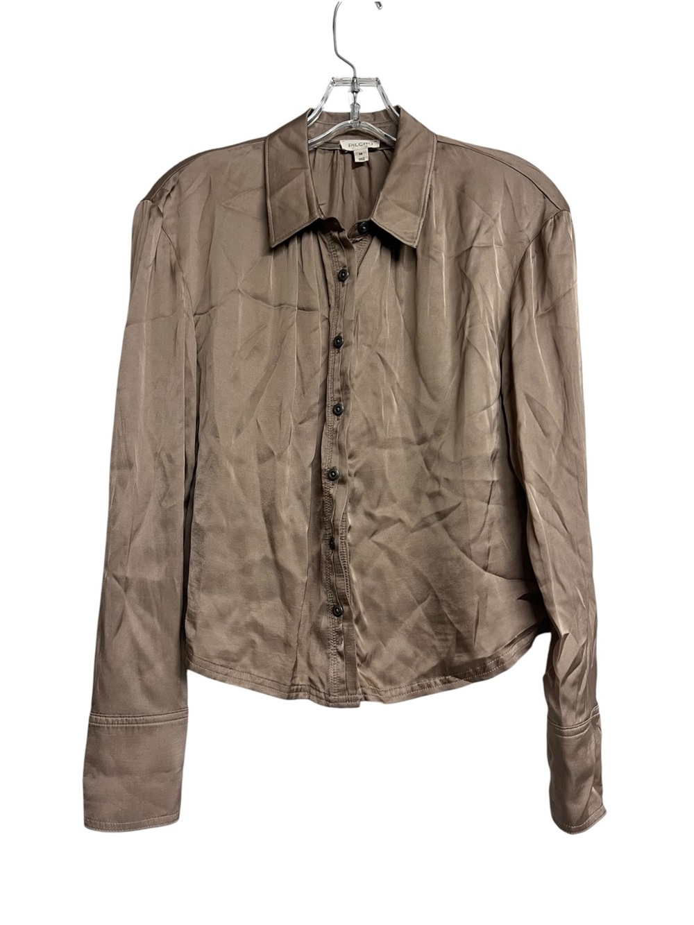 Anthropologie Pilcro Light Brown Satin Button Down Shirt Minimalist Old Money